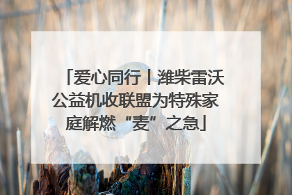 爱心同行丨潍柴雷沃公益机收联盟为特殊家庭解燃“麦”之急