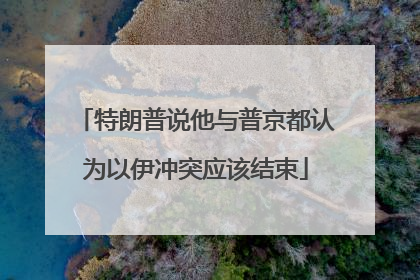 特朗普说他与普京都认为以伊冲突应该结束