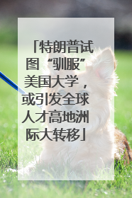 特朗普试图“驯服”美国大学，或引发全球人才高地洲际大转移