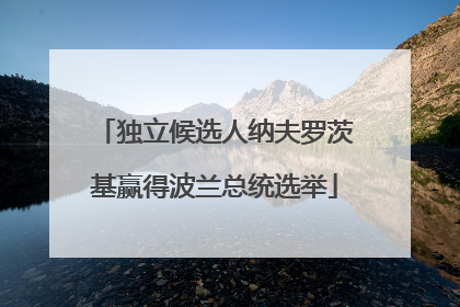 独立候选人纳夫罗茨基赢得波兰总统选举