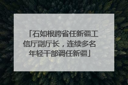 石如根跨省任新疆工信厅副厅长，连续多名年轻干部调任新疆