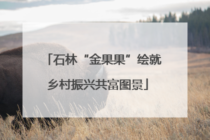 石林“金果果”绘就乡村振兴共富图景