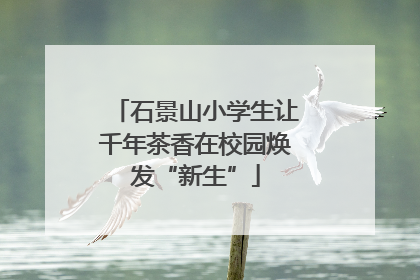 石景山小学生让千年茶香在校园焕发“新生”