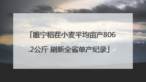睢宁稻茬小麦平均亩产806.2公斤 刷新全省单产纪录