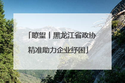 瞭望丨黑龙江省政协精准助力企业纾困
