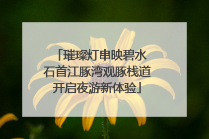 璀璨灯串映碧水 石首江豚湾观豚栈道开启夜游新体验