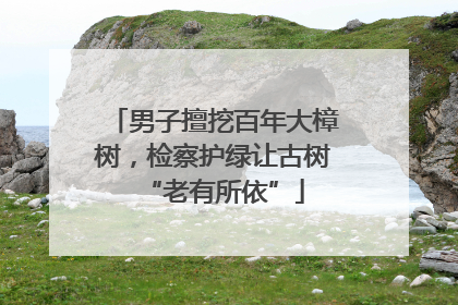 男子擅挖百年大樟树，检察护绿让古树“老有所依”