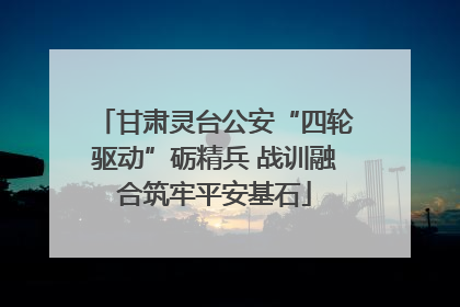 甘肃灵台公安“四轮驱动”砺精兵 战训融合筑牢平安基石