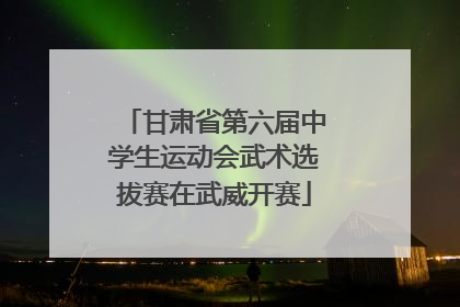 甘肃省第六届中学生运动会武术选拔赛在武威开赛