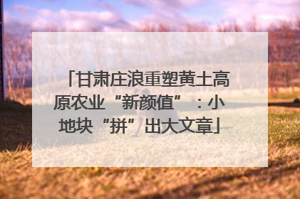 甘肃庄浪重塑黄土高原农业“新颜值”：小地块“拼”出大文章