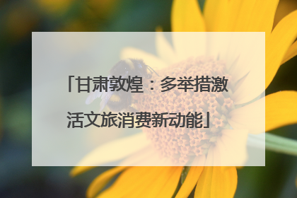 甘肃敦煌：多举措激活文旅消费新动能