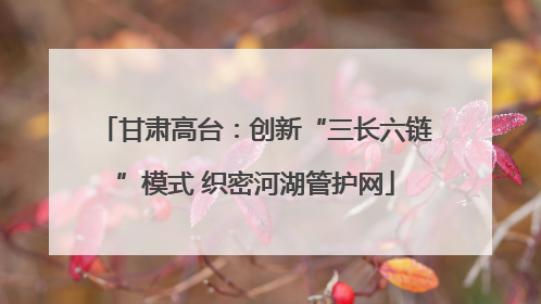 甘肃高台：创新“三长六链”模式 织密河湖管护网
