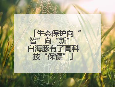 生态保护向“智”向“新” 白海豚有了高科技“保镖”