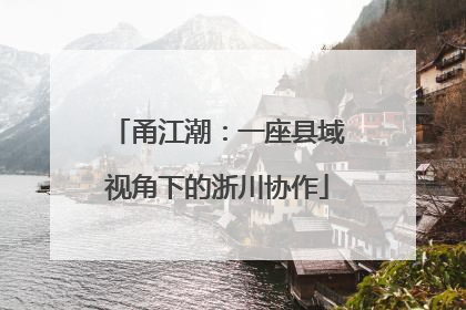 甬江潮：一座县域视角下的浙川协作