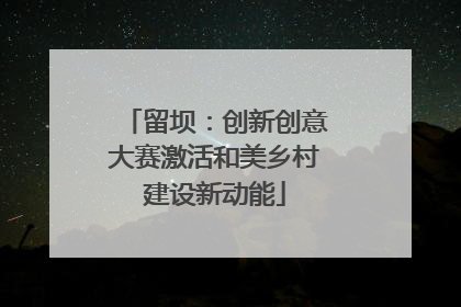 留坝：创新创意大赛激活和美乡村建设新动能