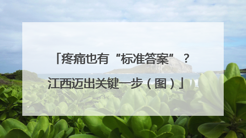 疼痛也有“标准答案”？江西迈出关键一步（图）