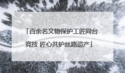 百余名文物保护工匠同台竞技 匠心共护丝路遗产
