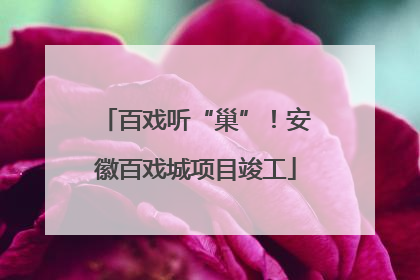 百戏听“巢”！安徽百戏城项目竣工