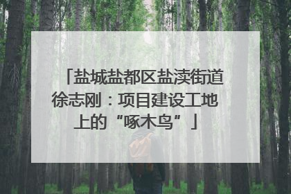 盐城盐都区盐渎街道徐志刚：项目建设工地上的“啄木鸟”