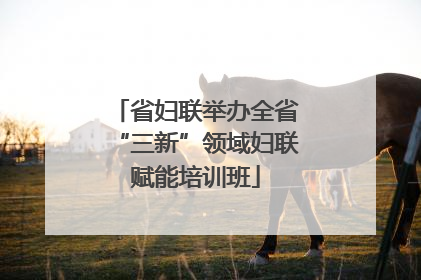 省妇联举办全省“三新”领域妇联赋能培训班