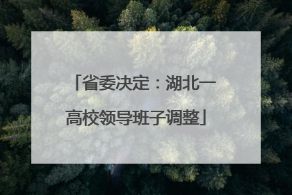 省委决定：湖北一高校领导班子调整