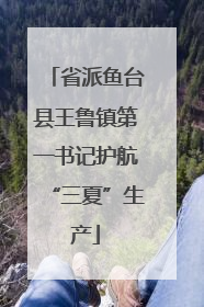 省派鱼台县王鲁镇第一书记护航“三夏”生产