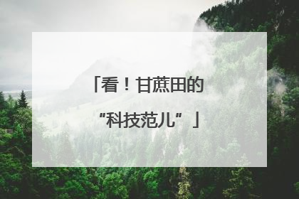 看！甘蔗田的“科技范儿”