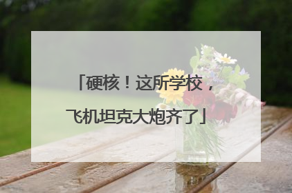 硬核！这所学校，飞机坦克大炮齐了