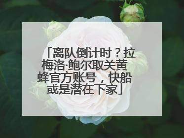 离队倒计时？拉梅洛·鲍尔取关黄蜂官方账号，快船或是潜在下家