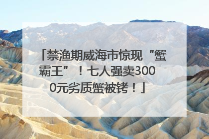 禁渔期威海市惊现“蟹霸王”！七人强卖3000元劣质蟹被铐！