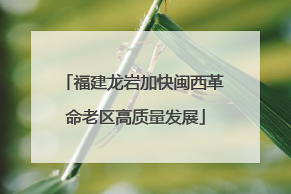 福建龙岩加快闽西革命老区高质量发展