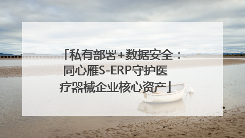 私有部署+数据安全：同心雁S-ERP守护医疗器械企业核心资产