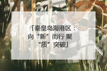 秦皇岛海港区：向“新”而行 聚“质”突破