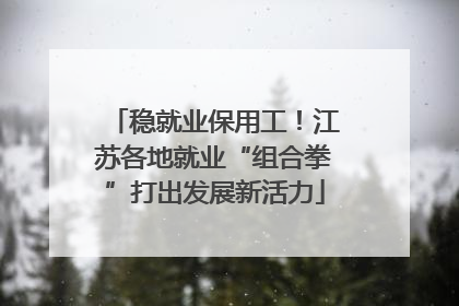 稳就业保用工！江苏各地就业“组合拳”打出发展新活力