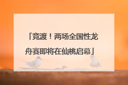 竞渡！两场全国性龙舟赛即将在仙桃启幕