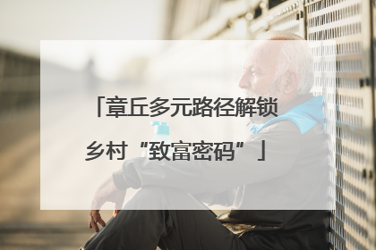 章丘多元路径解锁乡村“致富密码”