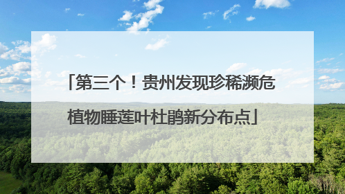 第三个！贵州发现珍稀濒危植物睡莲叶杜鹃新分布点