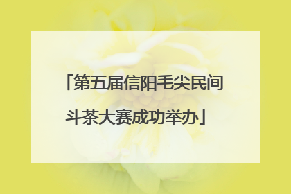 第五届信阳毛尖民间斗茶大赛成功举办