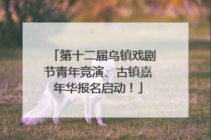 第十二届乌镇戏剧节青年竞演、古镇嘉年华报名启动！