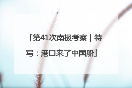 第41次南极考察｜特写：港口来了中国船