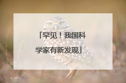 罕见！我国科学家有新发现