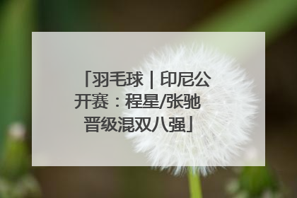 羽毛球｜印尼公开赛：程星/张驰晋级混双八强