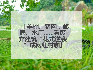 羊棚、猪圈，邮局、水厂……看废弃建筑“花式逆袭”成网红村咖