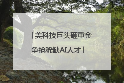 美科技巨头砸重金争抢稀缺AI人才