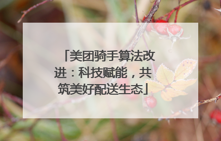 美团骑手算法改进：科技赋能，共筑美好配送生态