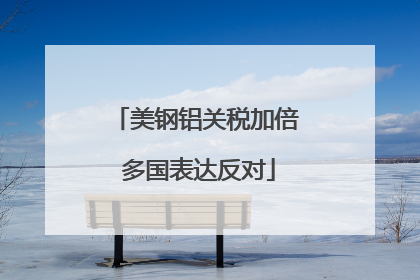 美钢铝关税加倍 多国表达反对