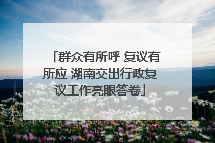 群众有所呼 复议有所应 湖南交出行政复议工作亮眼答卷