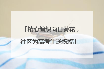 精心编织向日葵花，社区为高考生送祝福