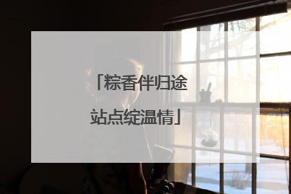 粽香伴归途 站点绽温情