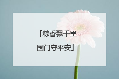 粽香飘千里 国门守平安